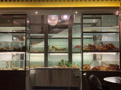 -甄御•海鲜新青岛菜(麦岛店)