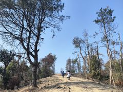 -青龙山国家森林公园
