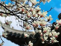 -杭州上天竺法喜讲寺