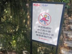 -老幺泉水鸡