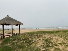 -青岛银沙滩
