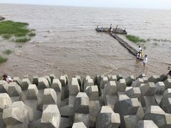 -奉贤海滩