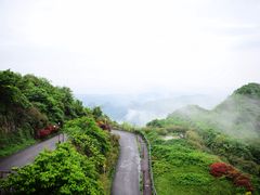 -娄山关景区