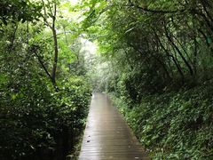 -上海佘山国家森林公园西佘山园