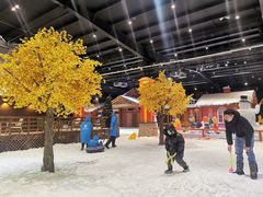-宁波冰雪大世界(北仑区)