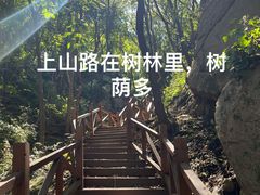 -大岭沟猕猴桃谷风景区