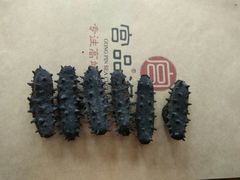 -宫品海参专卖店(静安大宁店)
