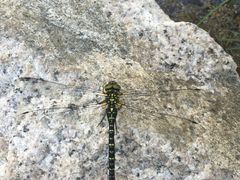 -碓臼峪自然风景区