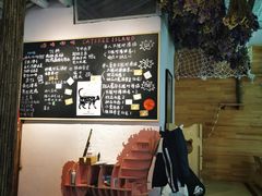 -喵屿·大理花园猫咖