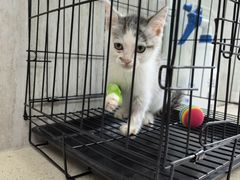 -爱派特动物医院·全科诊疗中心