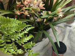 -金陵花卉交易市场