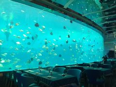 -瑞德姆美人鱼海底演艺主题餐厅(亚龙湾店)