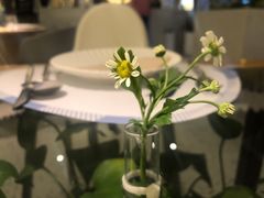 -春树下·树屋花房西餐厅(罍街AS1980店)