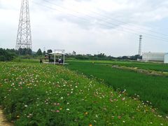 -禾悦庄餐厅