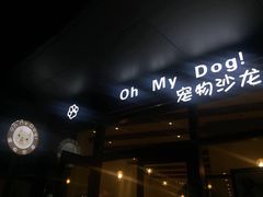 -Oh My Dog宠物沙龙(伊珊娜皮毛护理店)