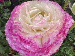 -同济大学(嘉定校区)