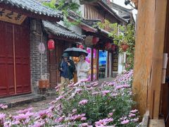 -民食香·腊排骨野生菌美食(木府店)