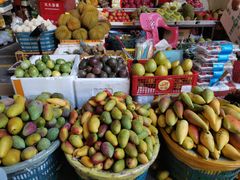 -三亚新鸿港水果一级批发市场