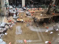 -麒麟中餐厅·经典粤菜·地道菜式老字号(广州长隆酒店)