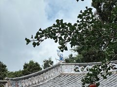 -寂照庵