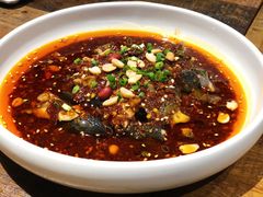 -铁公鸡·四川料理(天环广场店)