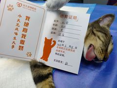 -创凡宠物医院·骨专科  猫科中心(西乡分院)