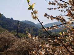 -鸡枕山