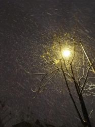 -宋氏家传催乳工作室(罗南新村店)