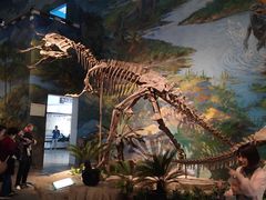 -自贡恐龙博物馆