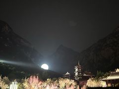 -禅宗少林·音乐大典
