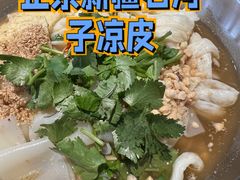 石河子风味凉皮-董小西的凉皮和椒麻鸡(三元桥店)