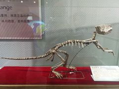 -中国第四纪冰川遗迹陈列馆
