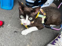 -春涛餐馆(下坝店)