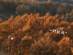 -萨尔浒风景区