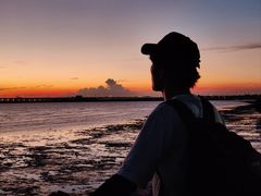 -宝安西湾红树林湿地公园