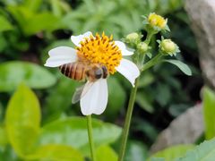 -福田红树林生态公园