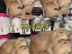 -秋叶原电器街