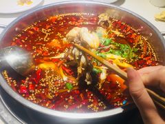 美蛙-味之绝美蛙鱼头火锅(高新店)
