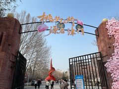 -桃花堤公园