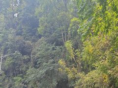-孔雀湖生态旅游区