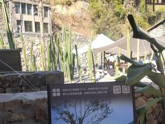 -MOJ coffee(瓯海泽雅水碓坑店)