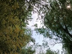 -竹泉村旅游度假区