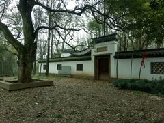 -西湖风景区十里琅珰-五云山