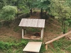 -石家庄市动物园