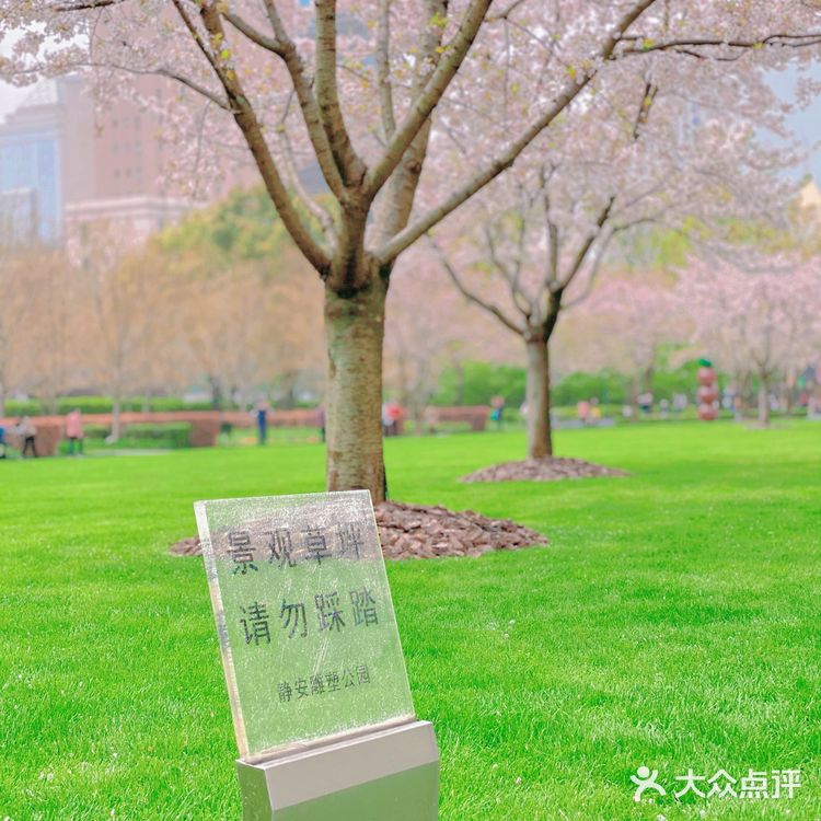 攻略 | 静安区0元不排队赏樱🌸保姆级指南建议收藏