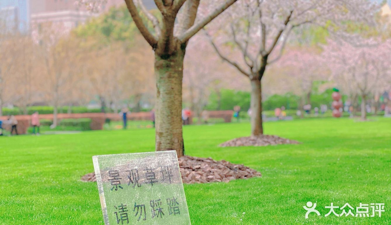 攻略 | 静安区0元不排队赏樱🌸保姆级指南建议收藏