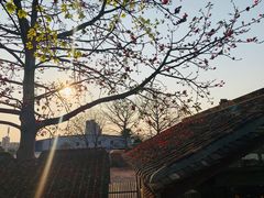-喜洲吧·江畔老船厂·庭院餐厅(喜临院店)