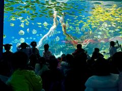 -海合安武汉极地海洋公园