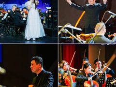 -信兴电器(新华南路店)