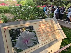 -洛阳市隋唐城遗址植物园